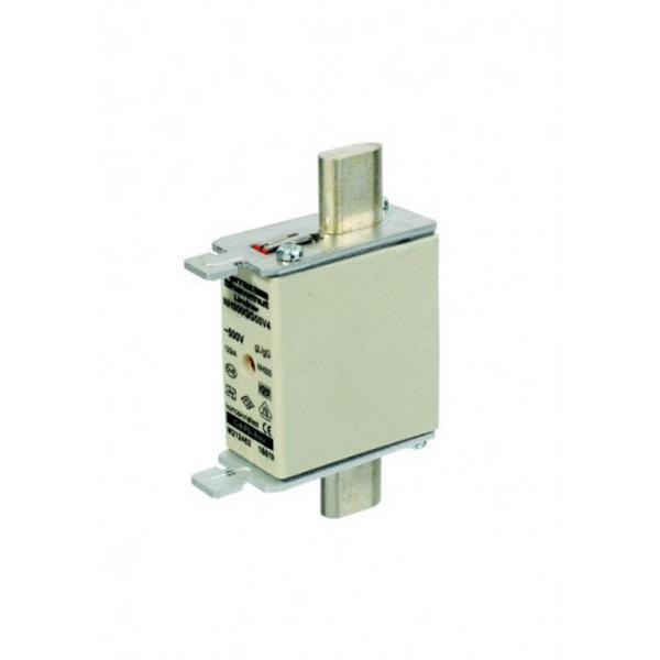 100A Battery Fuse